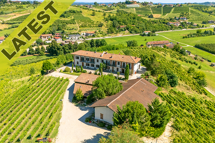 Stunning B&B, restaurant, winery