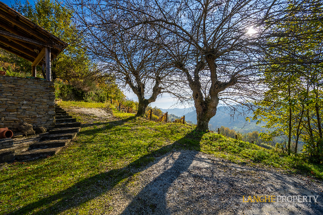 Piedmont Langhe stone farmhouse for sale in wine area, Italy