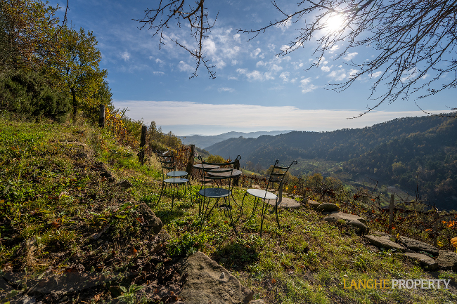 Piedmont Langhe stone farmhouse for sale in wine area, Italy