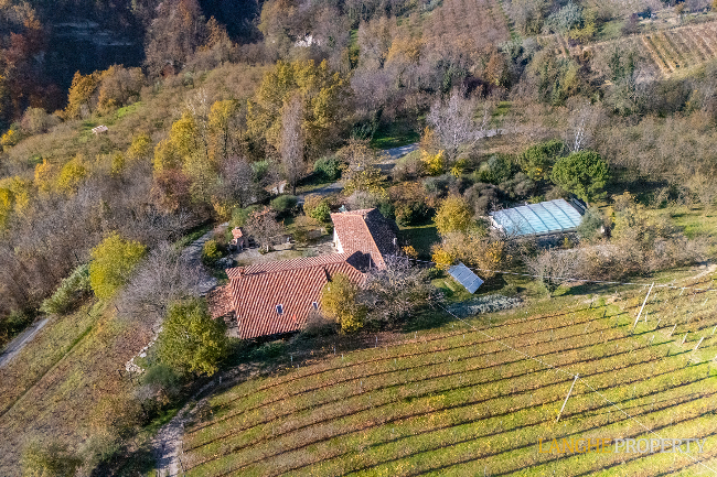 Piedmont Langhe stone farmhouse for sale in wine area, Italy
